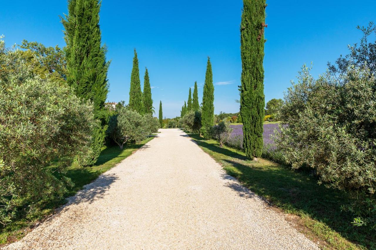 La Bastide De Damien, 5 Clefs Demeure D'Exception Et Table Remarquable Dans Le Guide Teritoria, Jacuzzi Privatif, Cuisine Etoilee Dominique Frerard Otel Aix-en-Provence Dış mekan fotoğraf