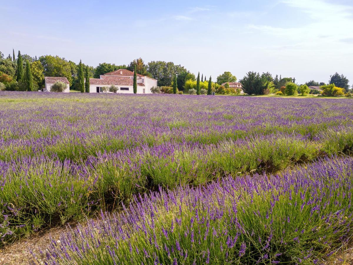 La Bastide De Damien, 5 Clefs Demeure D'Exception Et Table Remarquable Dans Le Guide Teritoria, Jacuzzi Privatif, Cuisine Etoilee Dominique Frerard Otel Aix-en-Provence Dış mekan fotoğraf