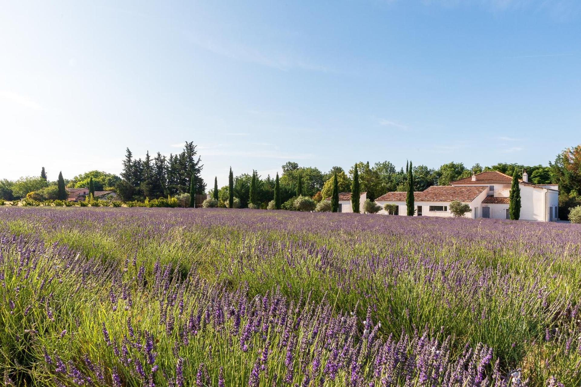 La Bastide De Damien, 5 Clefs Demeure D'Exception Et Table Remarquable Dans Le Guide Teritoria, Jacuzzi Privatif, Cuisine Etoilee Dominique Frerard Otel Aix-en-Provence Dış mekan fotoğraf