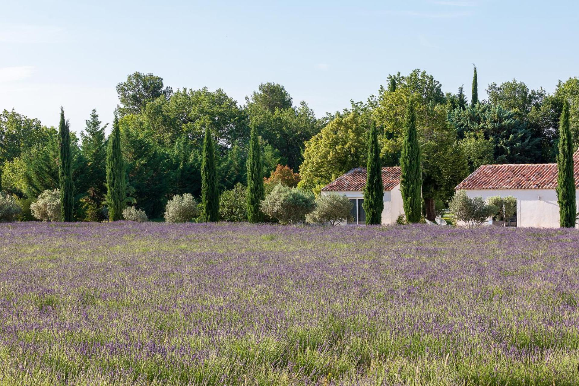 La Bastide De Damien, 5 Clefs Demeure D'Exception Et Table Remarquable Dans Le Guide Teritoria, Jacuzzi Privatif, Cuisine Etoilee Dominique Frerard Otel Aix-en-Provence Dış mekan fotoğraf