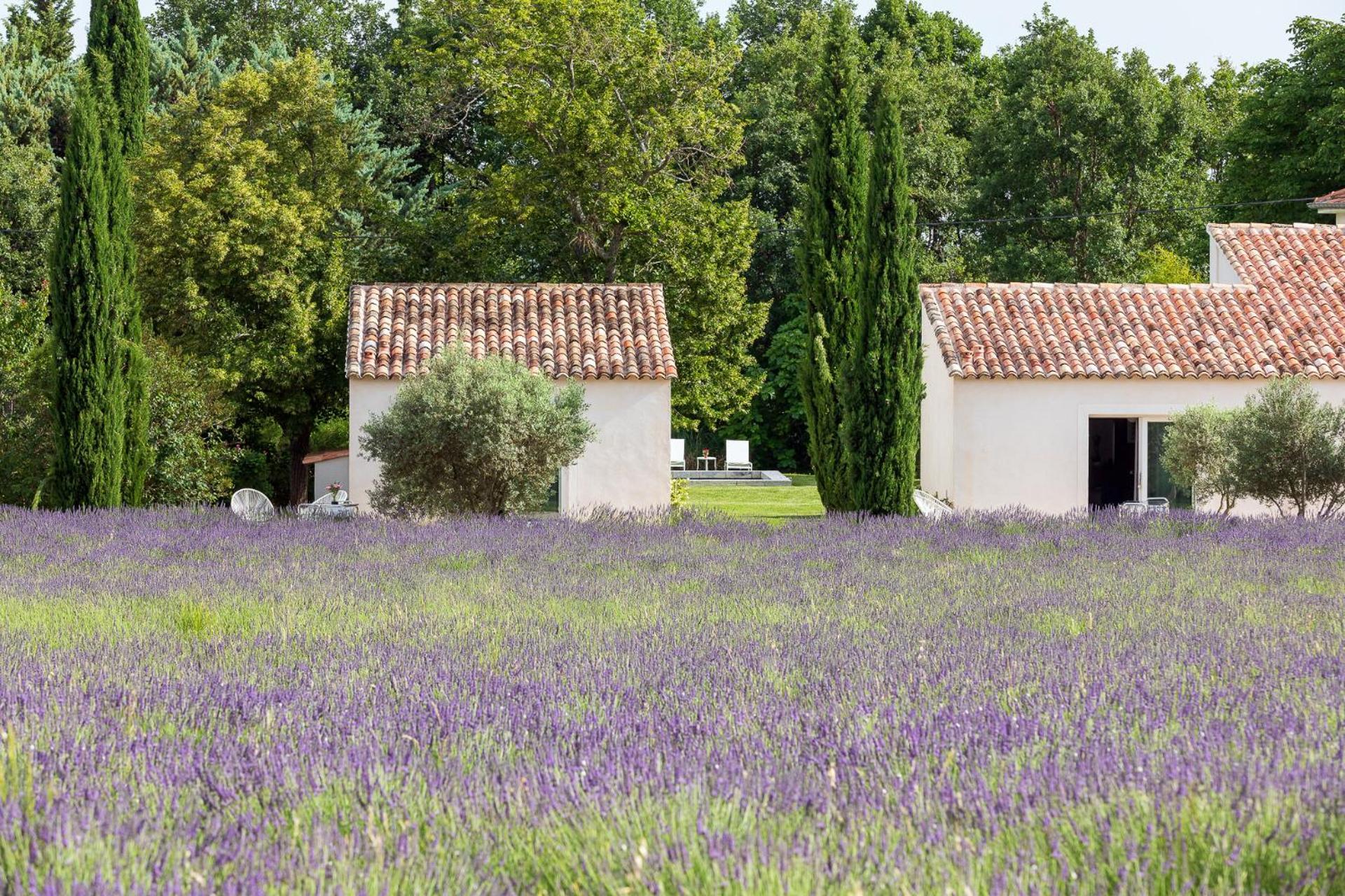 La Bastide De Damien, 5 Clefs Demeure D'Exception Et Table Remarquable Dans Le Guide Teritoria, Jacuzzi Privatif, Cuisine Etoilee Dominique Frerard Otel Aix-en-Provence Dış mekan fotoğraf