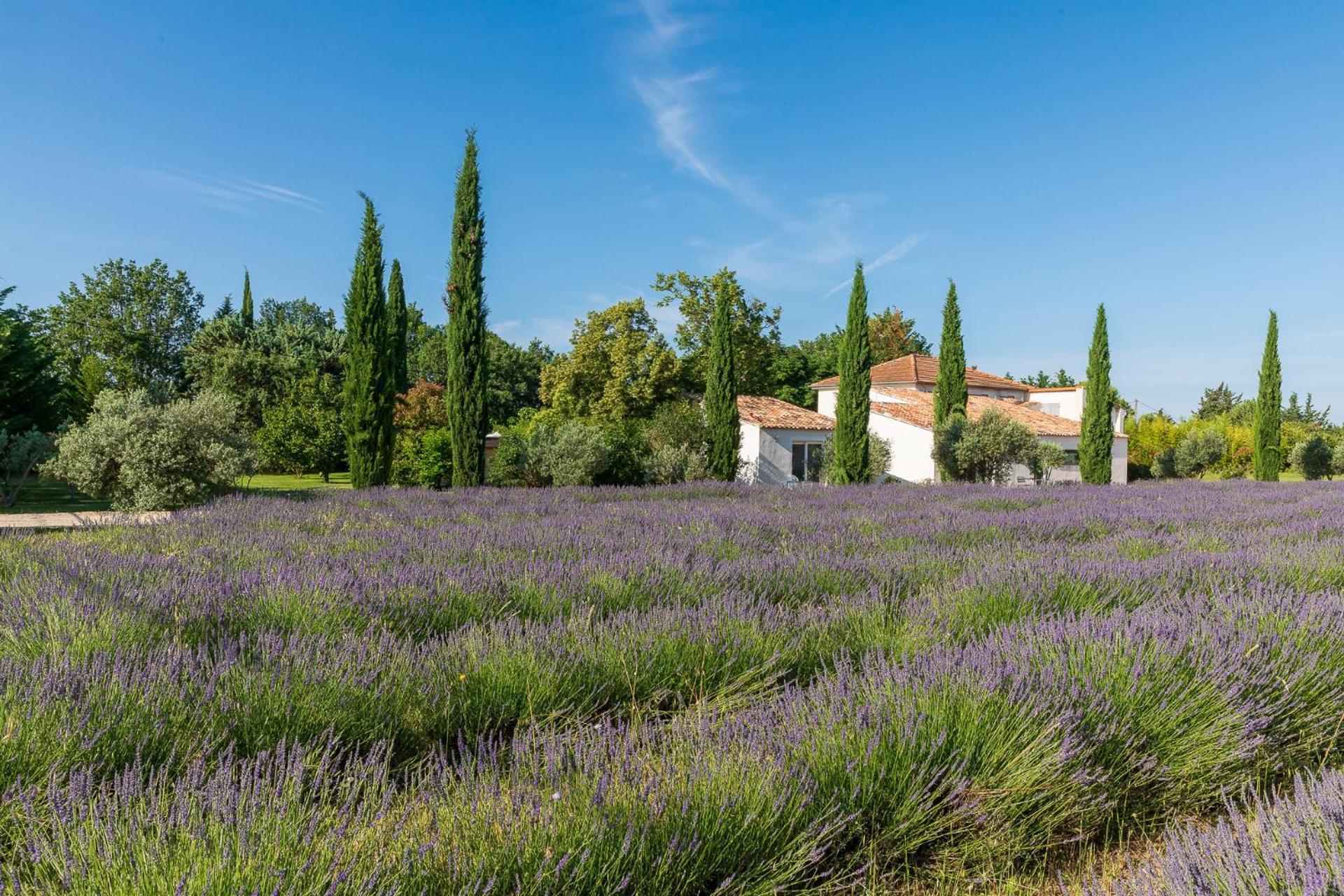 La Bastide De Damien, 5 Clefs Demeure D'Exception Et Table Remarquable Dans Le Guide Teritoria, Jacuzzi Privatif, Cuisine Etoilee Dominique Frerard Otel Aix-en-Provence Dış mekan fotoğraf