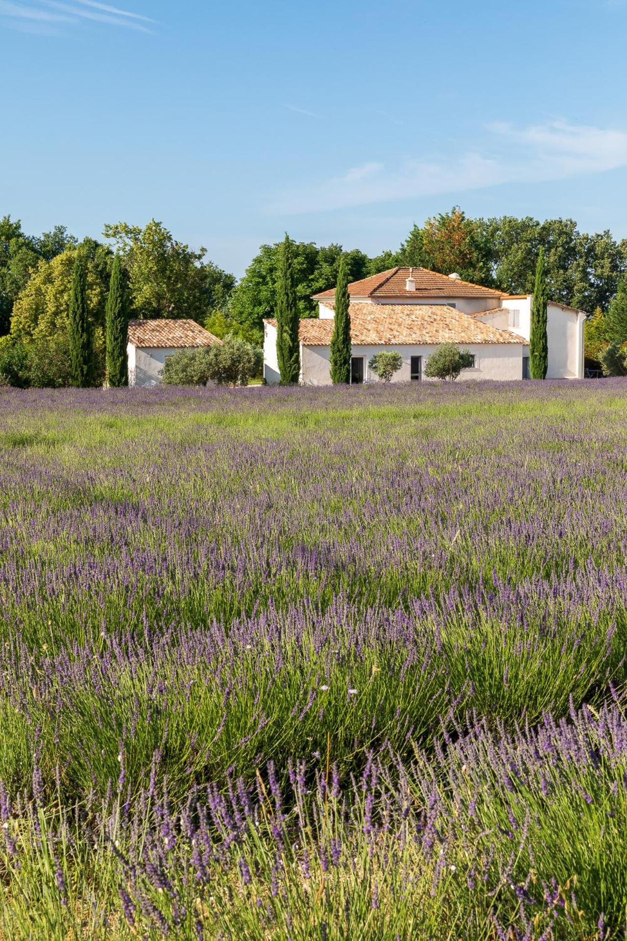La Bastide De Damien, 5 Clefs Demeure D'Exception Et Table Remarquable Dans Le Guide Teritoria, Jacuzzi Privatif, Cuisine Etoilee Dominique Frerard Otel Aix-en-Provence Dış mekan fotoğraf
